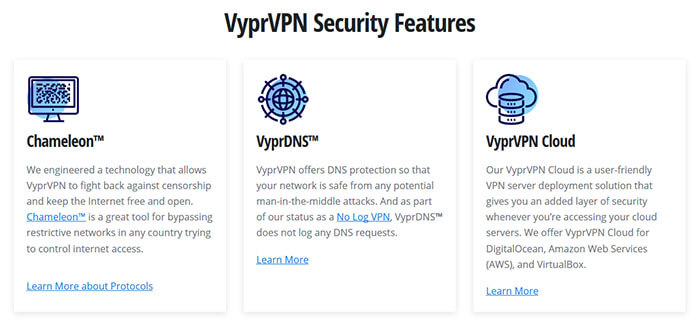 Security VyprVPN