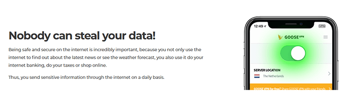 Goose VPN Security