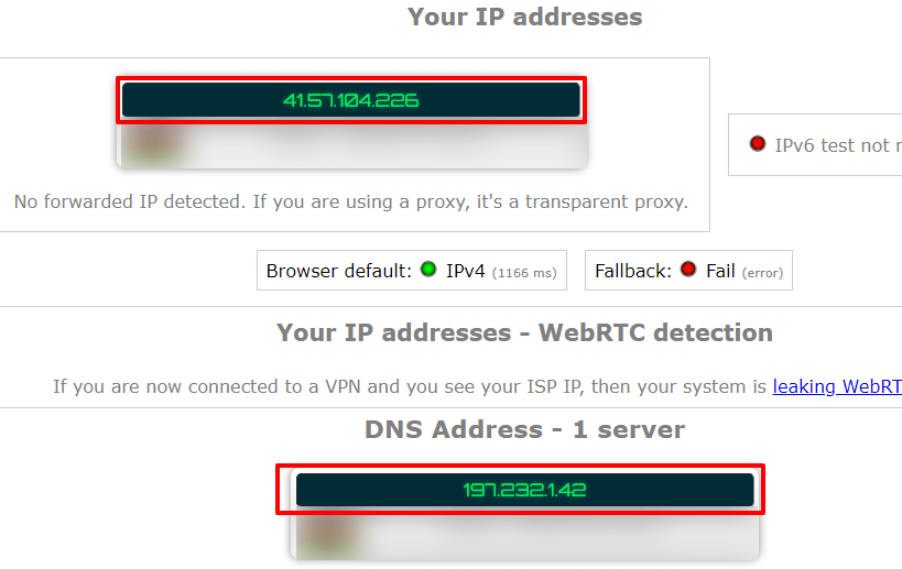 IP-DNS-Detect-1