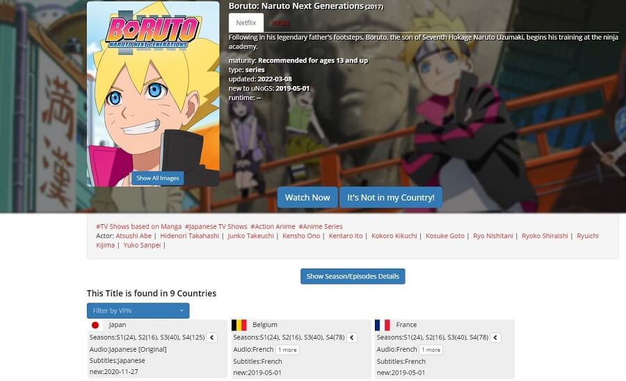 Boruto : Naruto Next Generations, Netflix